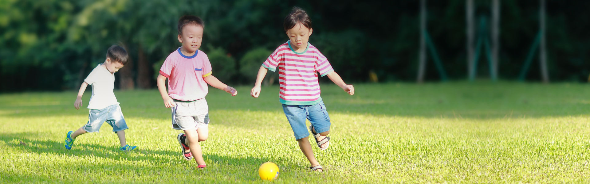 可持續(xù)發(fā)展